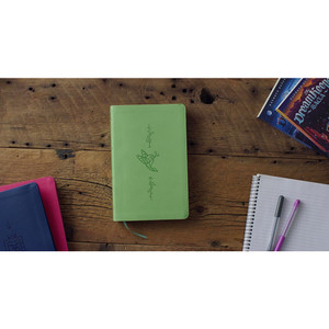 ESV Kid's Thinline Bible - Green Bird Of The Air Design Trutone - Case of 12