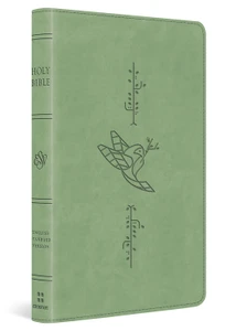 ESV Kid's Thinline Bible - Green Bird Of The Air Design Trutone - Case of 12