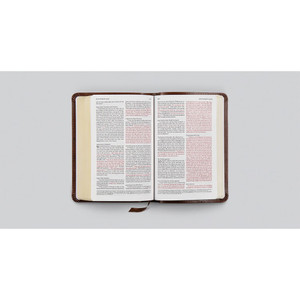 ESV Compact Bible - Brown Trutone - Case of 32