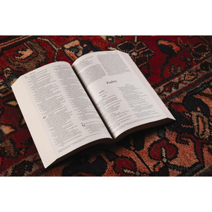 NIV Bread of Life Outreach Bible (Paperback) - Bulk Case of 32