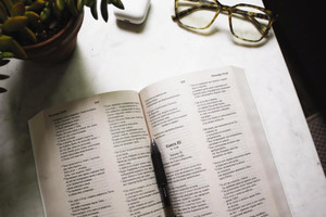 NRT Russian Bible (Paperback) - Case of 20