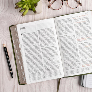 CSB Giant Print Reference Bible, Digital Study Edition, Olive LeatherTouch, Indexed - Case of 12