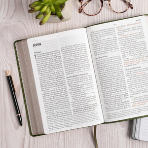 CSB Giant Print Reference Bible, Digital Study Edition, Olive LeatherTouch - Case of 12