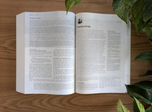 NLT Life Recovery Bible/Large Print (Second Edition) - Softcover - Case of 8