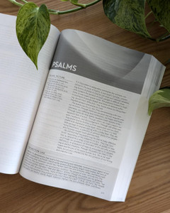 NLT Life Recovery Bible/Large Print (Second Edition) - Softcover - Case of 8