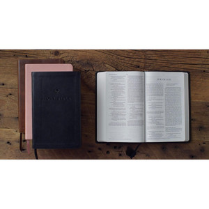 ESV Premium Church Bible, 8pt Font (TruTone, Black) - Bulk Case of 24