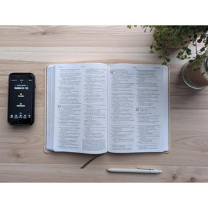 NTV: Biblia valor prémium, letra grande con Filament (Spanish Premium Bible, Imitation Leather, Tan) - Case of 16