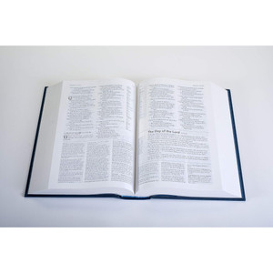 NLT Study Bible (Hardcover Cloth, Blue), Case of 8