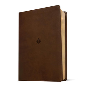 NLT Life Application Study Bible, Third Edition, Large Print (Leatherlike Rustic Brown) - Case of 6