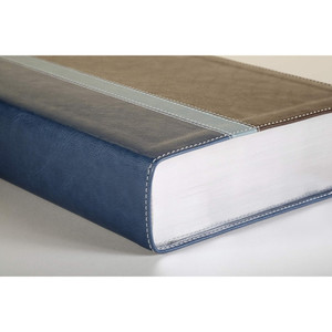 NLT Study Bible, Indexed (Leatherlike, Twilight Blue/Brown), Case of 8