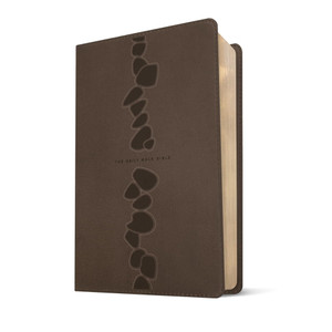 NLT The Daily Walk Bible, Filament Enabled (Leatherlike Stepping Stones, Dark Taupe) - Case of 12