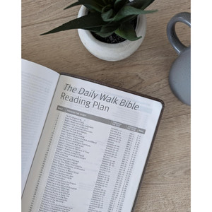 NLT The Daily Walk Bible, Filament Enabled (Leatherlike Stepping Stones, Dark Taupe) - Case of 12