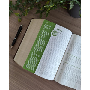 NLT Life Application Study Bible, Indexed, Third Edition, Large Print (Leatherlike, Rustic Brown Leaf), Case of 6