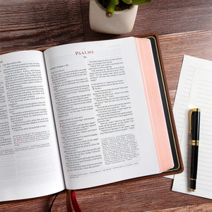 CSB Verse-by-Verse Reference Bible (Marbled Tan, Premium Calfskin) - Case of 10