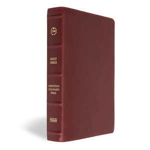 CSB Verse-by-Verse Reference Bible (Marbled Burgundy, Premium Calfskin) - Case of 10
