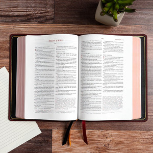 CSB Verse-by-Verse Reference Bible (Marbled Burgundy, Premium Calfskin) - Case of 10