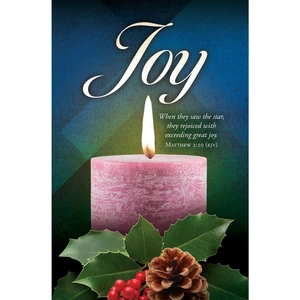 Church Bulletin 11" - Advent - Joy - Matt 2:10 KJV (Pack of 100)