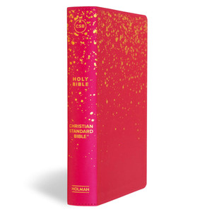 CSB Kids Bible, Pink (LeatherTouch) - Bulk Case of 12