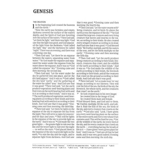 CSB Large Print Thinline Bible, Value Edition, Soft Pink LeatherTouch - Case of 16