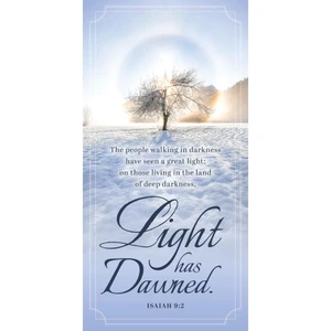Church Banner - Light Has Come Collection - Light Has Dawned