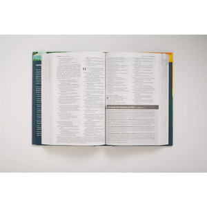 NLT New Believer's Bible - First Steps for New Christians (Softcover) - Case of 16