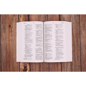 NVI, Portuguese NVI Bible, Paperback: Biblia Sagrada Nova Versao Internacional - Case of 20