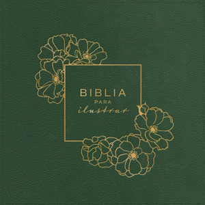 RVR 1960 Biblia para Ilustrar, Verde Simil Piel - Case of 4