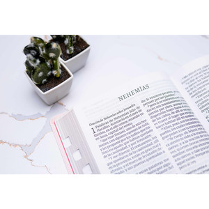 RVR 1960 Biblia Letra Supergigante, Floreada Simil Piel con Indice (Edicion 2023) - Case of 12