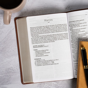 RVR 1960 Biblia Letra Grande, Tamano Manual, Edicion Especial, Marron Rustico, Simil Piel - Case of 12