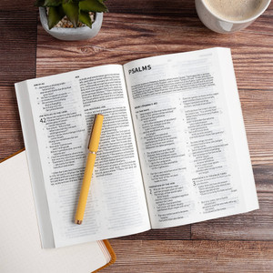 CSB Here's Hope Bible, Trade Paper - Case of 24