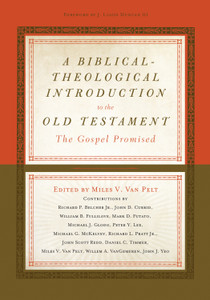 A Biblical-Theological Introduction to the Old Testament: The Gospel Promised (Hardcover)