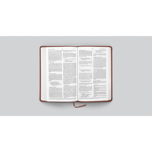 ESV Premium Church Bible, TruTone - Case of 24