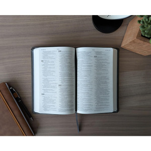 NTV: Biblia Valor Premium con Filament (Spanish Premium Bible, SentiPiel, Gray) - Case of 24