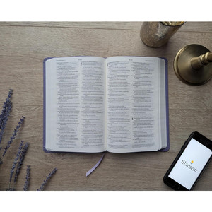 NTV: Biblia Valor Premium con Filament (Spanish Premium Bible, SentiPiel, Purple) - Case of 24
