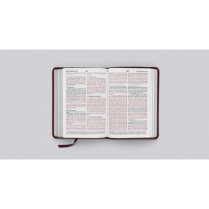 ESV Large Print Compact Bible (TruTone, Mahogany Border Design, Red Letter) - Bulk Case of 28