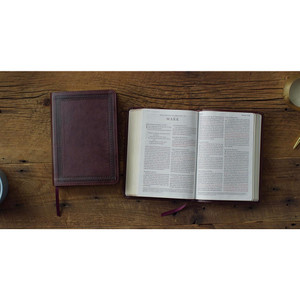 ESV Large Print Compact Bible (TruTone, Mahogany Border Design, Red Letter) - Bulk Case of 28