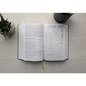 The Message Student Devotional Bible (Leather-Look, Stone Gray) - Case of 12