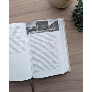 The Message Devotional Bible (Leather-Look, Driftwood Dove), Case of 16