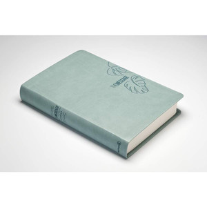 The Message Deluxe Gift Bible, Large Print (Leather-Look, Eucalyptus), Case of 16