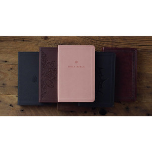 ESV Premium Gift Bible (TruTone Leather, Blush Rose) - Bulk Case of 24