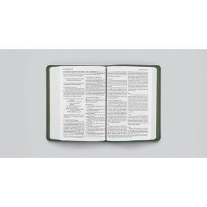 ESV Large Print Value Compact Bible (TruTone, Quiet Forest, Celtic Cross Design) - Case of 28
