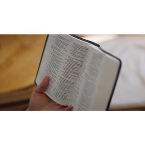 ESV Large Print Value Compact Bible (TruTone, Black) - Case of 28