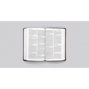 ESV Premium Gift Bible (TruTone Leather, Raspberry, Chestnut) - Bulk Case of 24