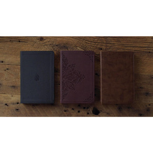 ESV Premium Gift Bible (TruTone Leather, Raspberry, Chestnut) - Bulk Case of 24