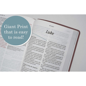KJV Personal Size Giant Print Bible, Filament Enabled (Genuine Leather, Burgundy, Red Letter)