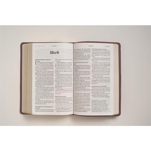 KJV Personal Size Giant Print Bible, Filament Enabled (Genuine Leather, Burgundy, Red Letter)