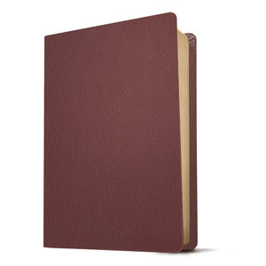 KJV Personal Size Giant Print Bible, Filament Enabled (Genuine Leather, Burgundy, Red Letter)