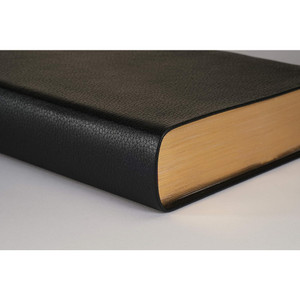 KJV Personal Size Giant Print Bible, Filament Enabled, Indexed (Genuine Leather, Black, Red Letter)