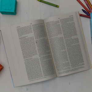 NKJV Children's Outreach Bible (Softcover) 