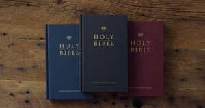 ESV Church Bible, Large Print